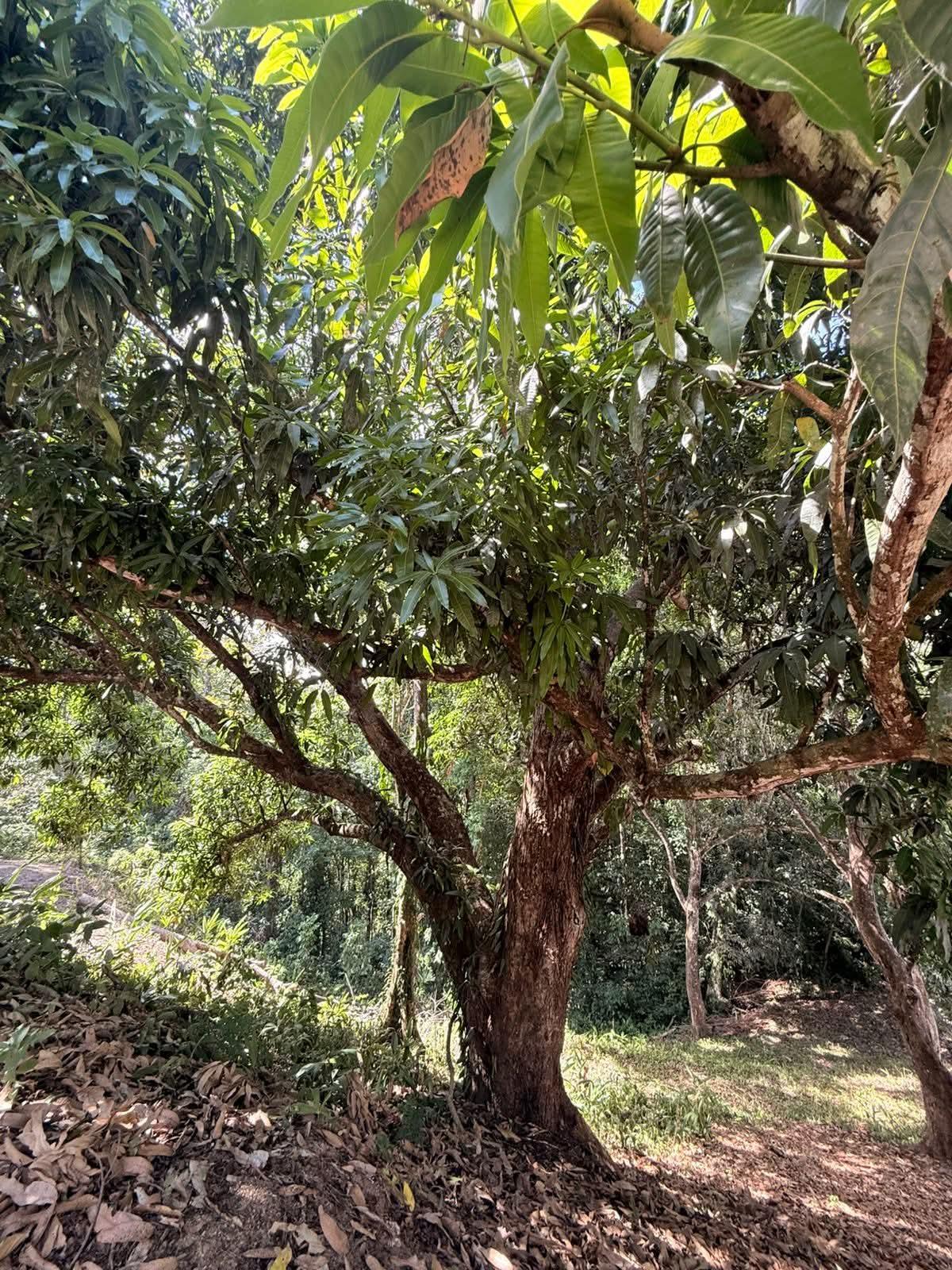 VENTA DE LOTE EN CONDOMINIO EN PUNTA LEONA
Precio: $60.000
erreno: 360 m²
- Lote listo para construir
- Disponibilidad de agua y luz
- Uso de suelo residencial
Código: 1210